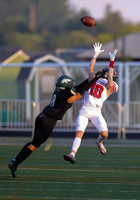 Owyhee vs. Eagle 007