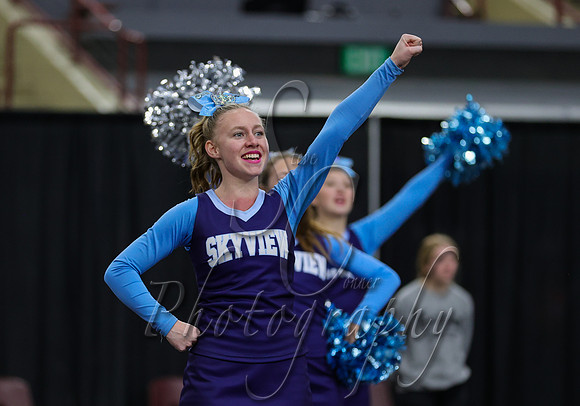 4A State Cheer Championships - Skyview 002