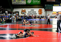 2019 Various State Wrestling  012