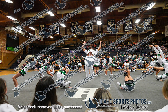 006 Burley Cheer Districts 1 -3
