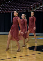 Snake River Dance 004