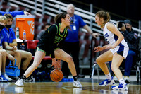 Borah v Timberline 010