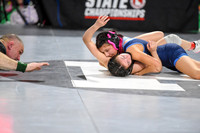 006 State Wrestling friday Evening girls 1_-20