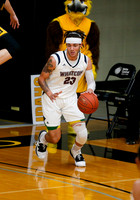 Whatcom vs CSI 020