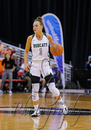 4A Championship - Skyline vs. Burley 015