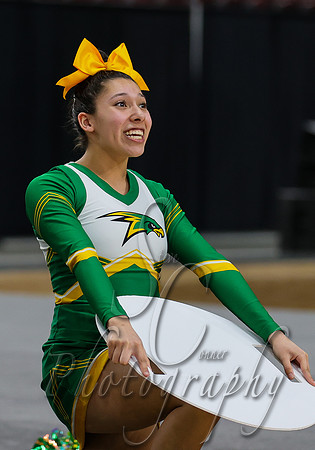 4A State Cheer Championships - Lakeland 012