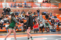 006 Girls wrestling Districts finals and awards 1-5