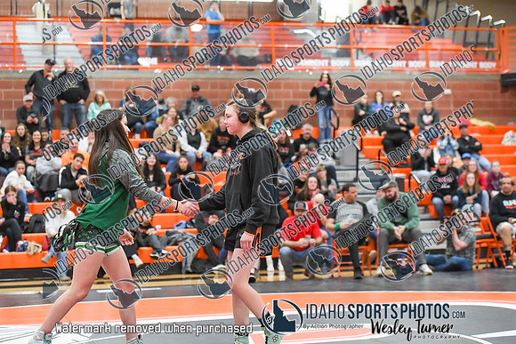 006 Girls wrestling Districts finals and awards 1-5