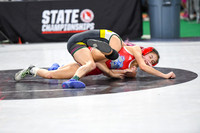 006 State Wrestling friday Evening girls 1_-7