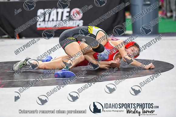 006 State Wrestling friday Evening girls 1_-7
