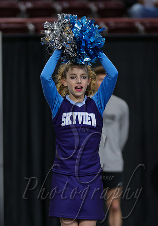4A State Cheer Championships - Skyview 008