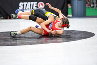 006 State Wrestling friday Evening girls 1_-6