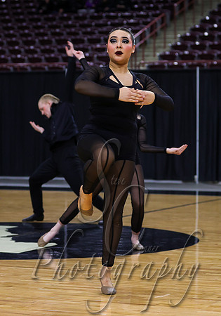 Idaho Arts Dance 009