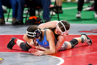 006 State Wrestling friday morning Girls 1 -3