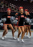 4A State Cheer Championships - Idaho Falls 019