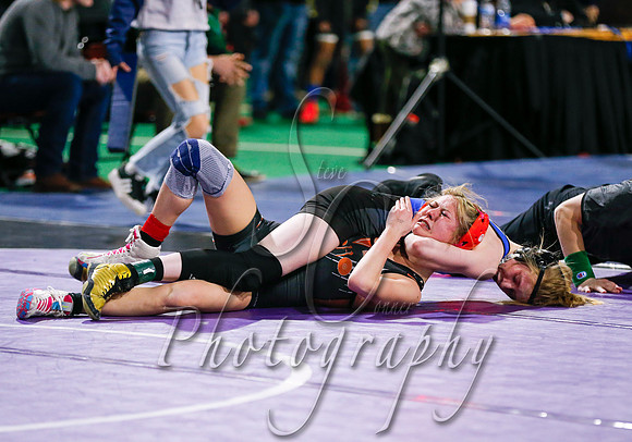 State Wrestling Action Day 2 016