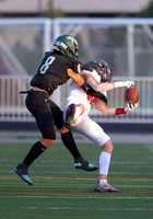 Owyhee vs. Eagle 011