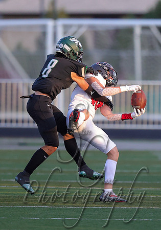 Owyhee vs. Eagle 011