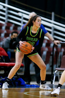 Borah v Timberline 003