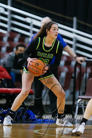 Borah v Timberline 003