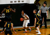Whatcom vs CSI 017