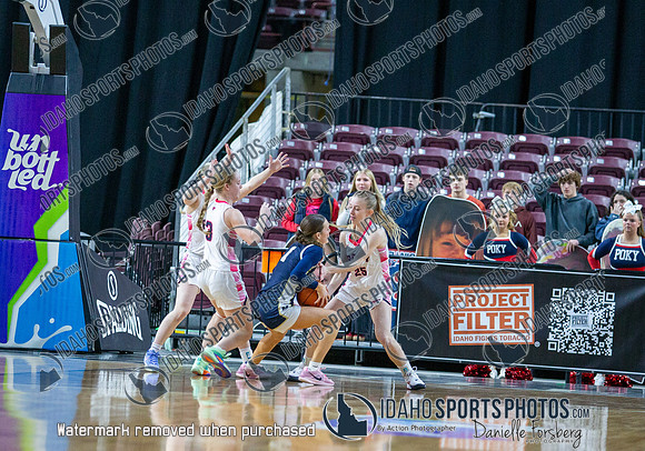 014 02222025 5A Girls State Basketball Pocatello v Middleton 008