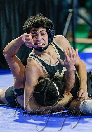 2019 State Wrestling Day 2 006