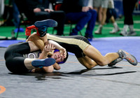 2019 Various State Wrestling  018