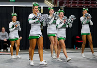 4A State Cheer Championships - Blackfoot 017
