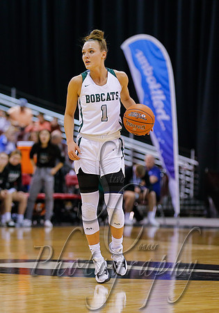 4A Championship - Skyline vs. Burley 014