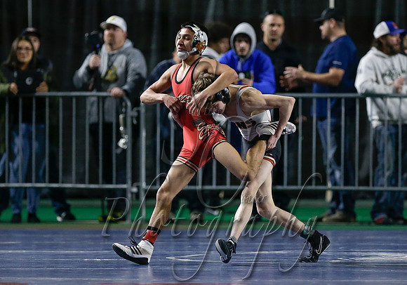 2019 Various State Wrestling  015