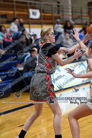 006 Shoshone vs Wendell 1-20