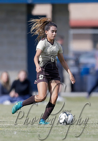 Vallivue vs Twin Falls 009