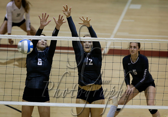 Skyview vs Burley 007