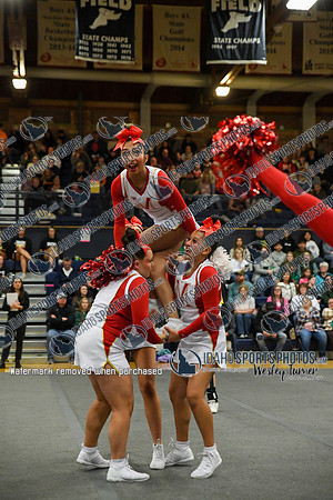 006 Minico District Cheer 1 -9