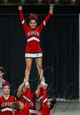 3A State Cheer Championships - American Falls  009