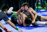 2019 State Wrestling Day 2 013