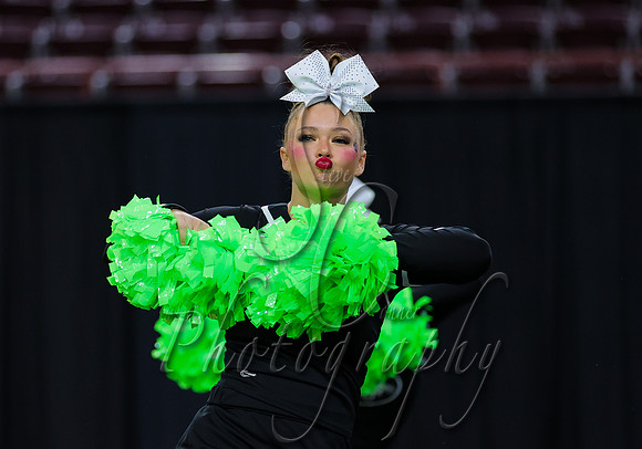 4A State Cheer Championships - Burley 017