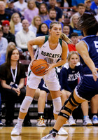 4A Championship - Skyline vs. Burley 011