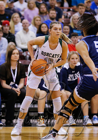 4A Championship - Skyline vs. Burley 011