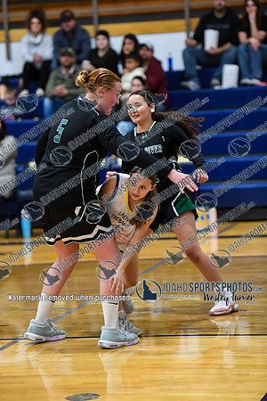 006 Wood River vs Wendell 1-8