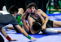 2019 State Wrestling Day 2 014