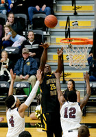 Whatcom vs CSI 013