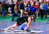 State Wrestling Action Day 2 019