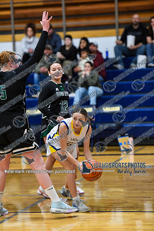 006 Wood River vs Wendell 1-7