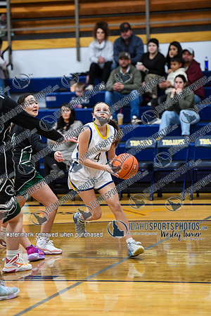 006 Wood River vs Wendell 1-6