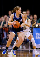 4A Championship - Skyline vs. Burley 010