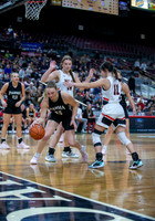 014 02222025 3A Girls State Basketball Parma v Malad 011