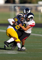 HIghland vs. Meridian JV 014