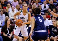 4A Championship - Skyline vs. Burley 013